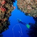 swimthru_cc_v_0705_png1689.jpg